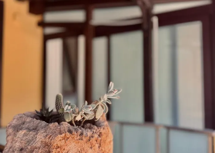 Freya Отель типа 